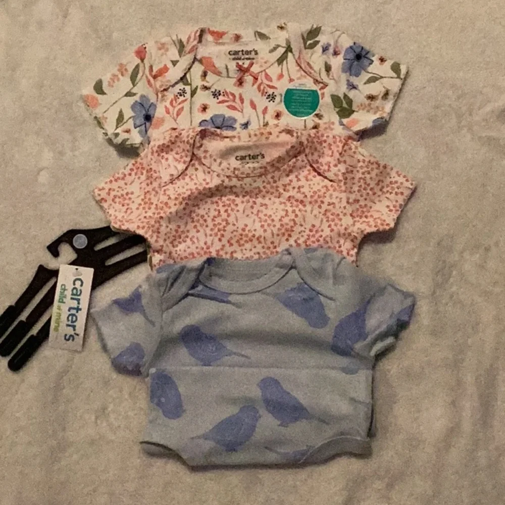 Carter's Blue and Pink Bodysuits Set for Infants - Picture 2 of 10